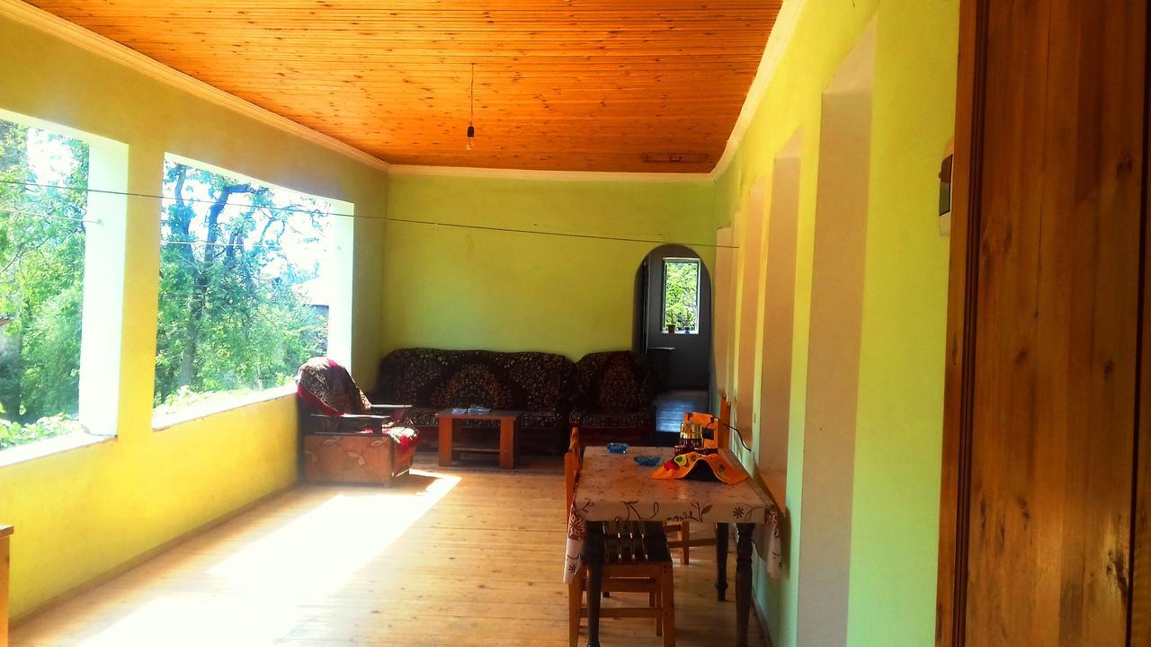 Shaulini Hotel Kashveti Exterior photo